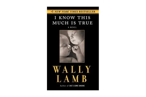i know this much is true book cover